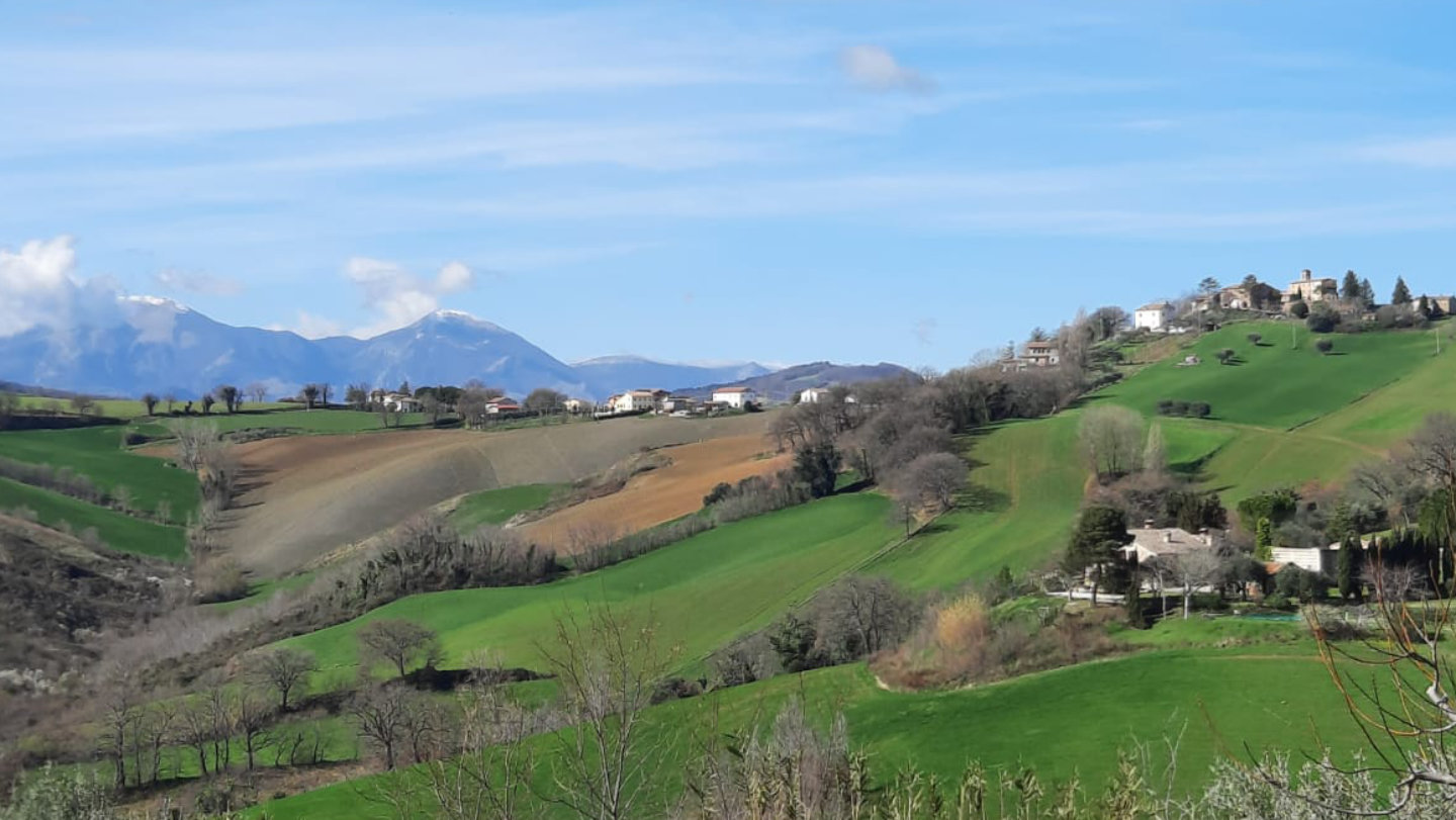 Le-marche