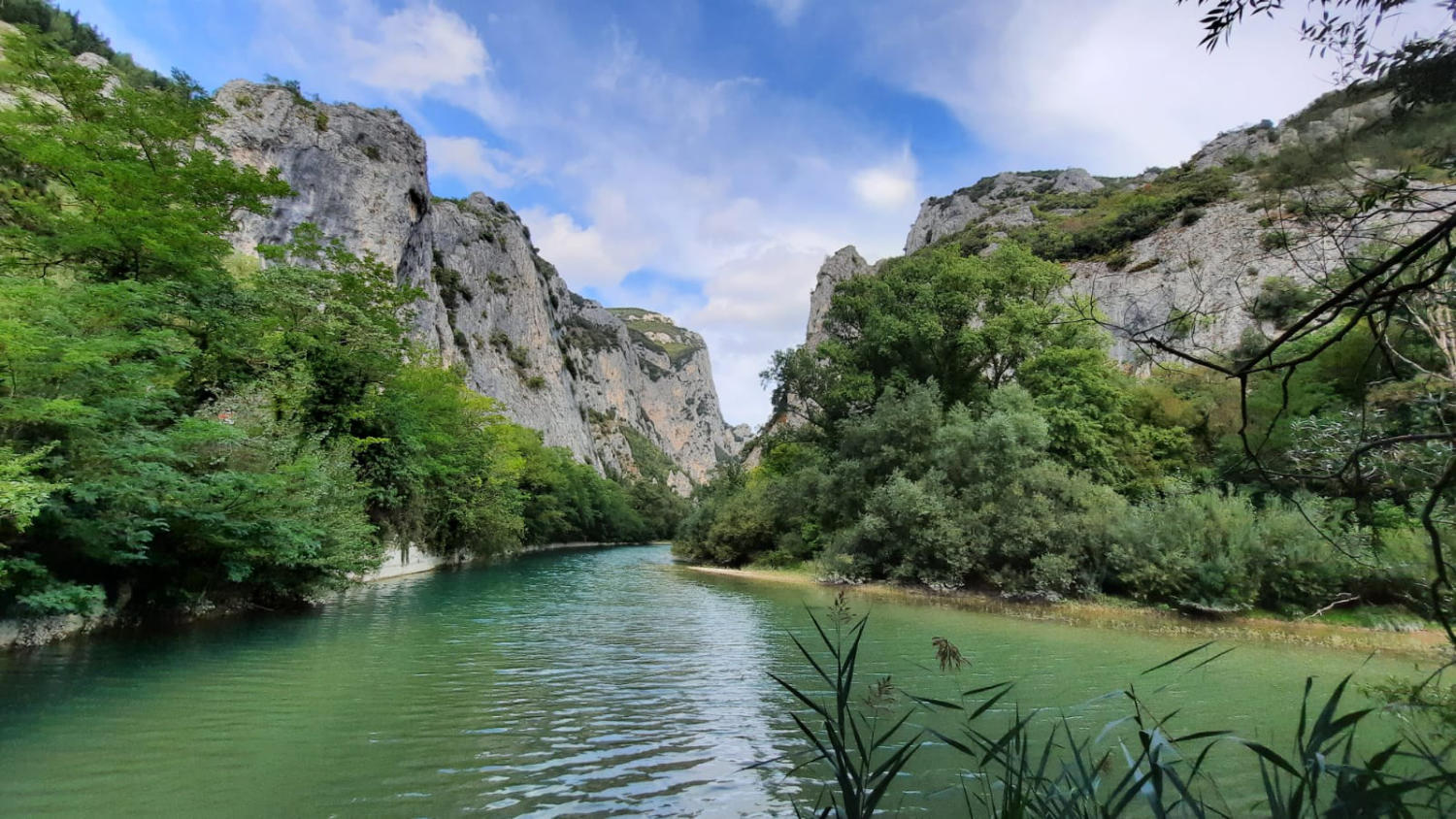 Gola del Furlo kloof
